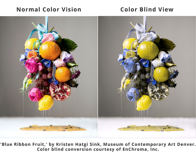 An assortment of colorful fruit hanging by a ribbon. The image is duplicated twice, one to simulate color blind vision, the other shows normal colorvision. 