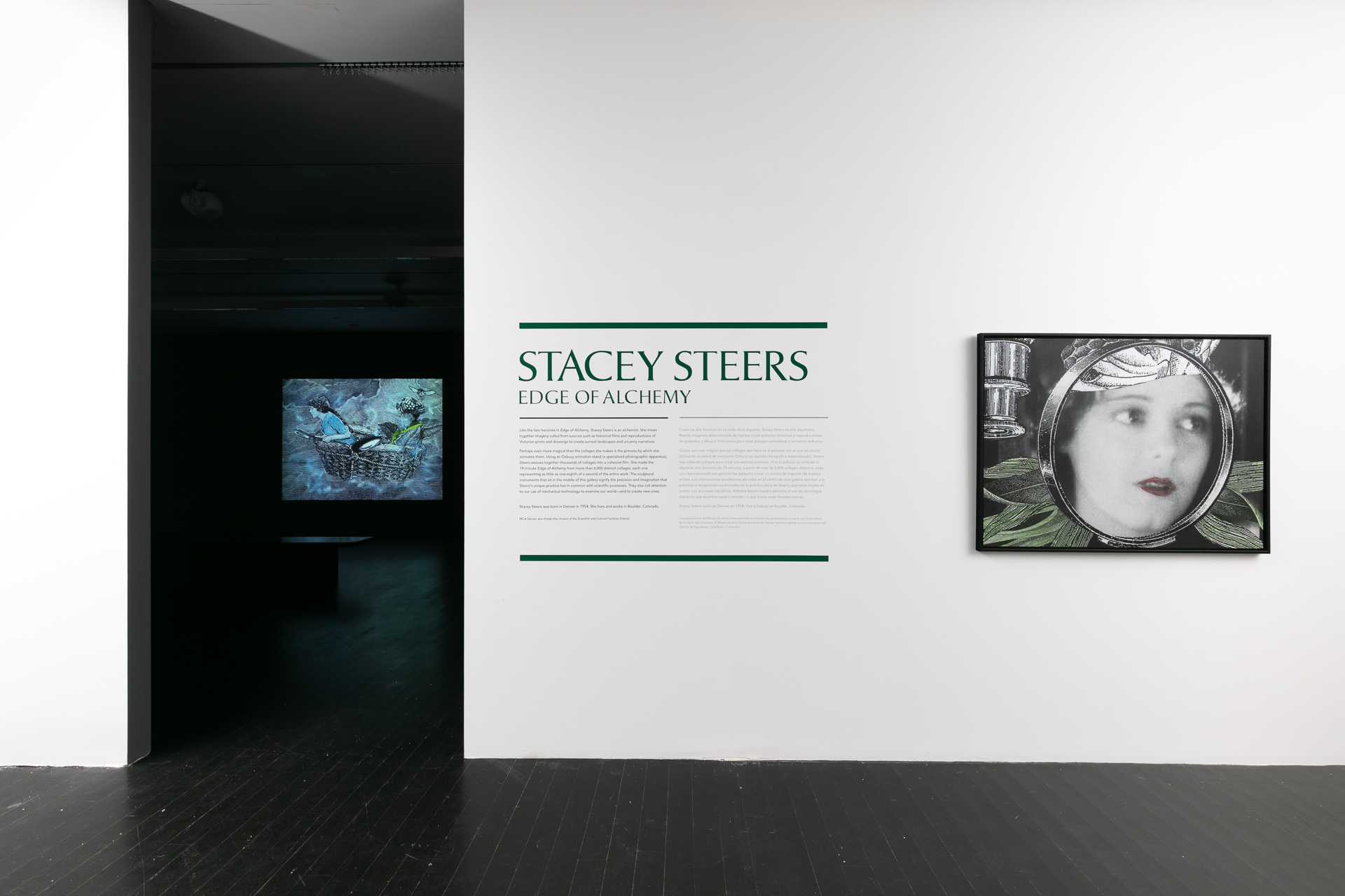 Gallery shot of wall text reading “STACEY STEERS EDGE OF ALCHEMY.” Adjacent is a black and white portrait of a woman looking wistfully off frame. In the background is a projection of an animation.
