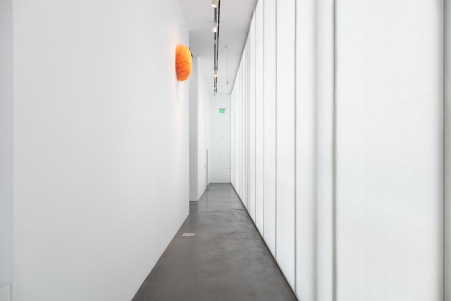 Hallway in an MCA Denver gallery. An artwork made of salmon colored tulle is affirmed to the wall, near the ceiling.