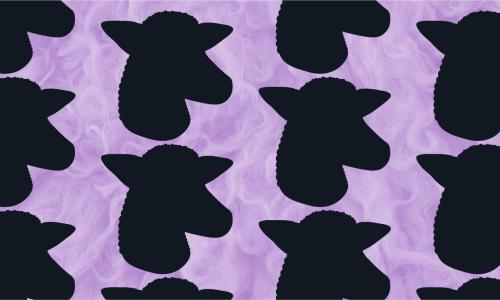 Black sheep heads on purple background.
