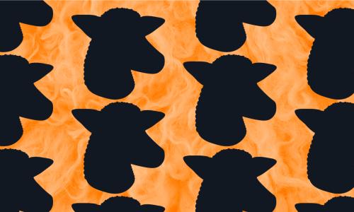 Black sheep heads on orange background.