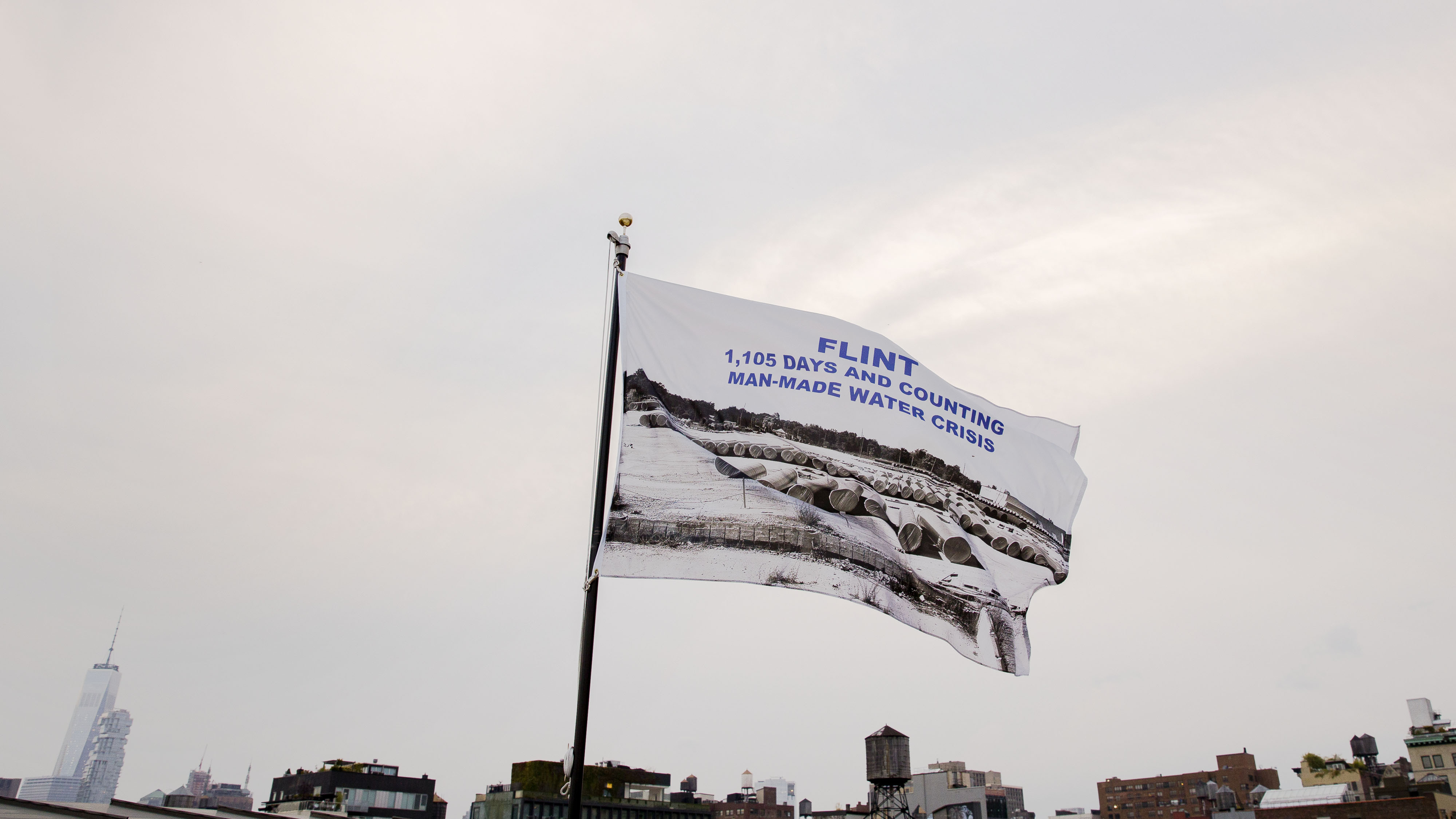 La Toya Ruby Frazier Flag