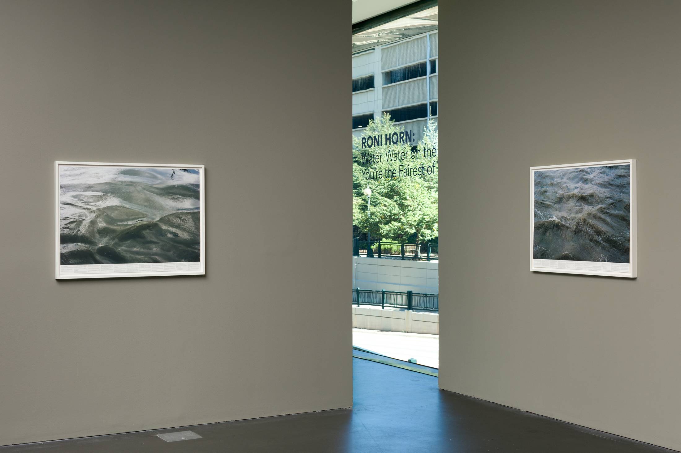 Roni Horn