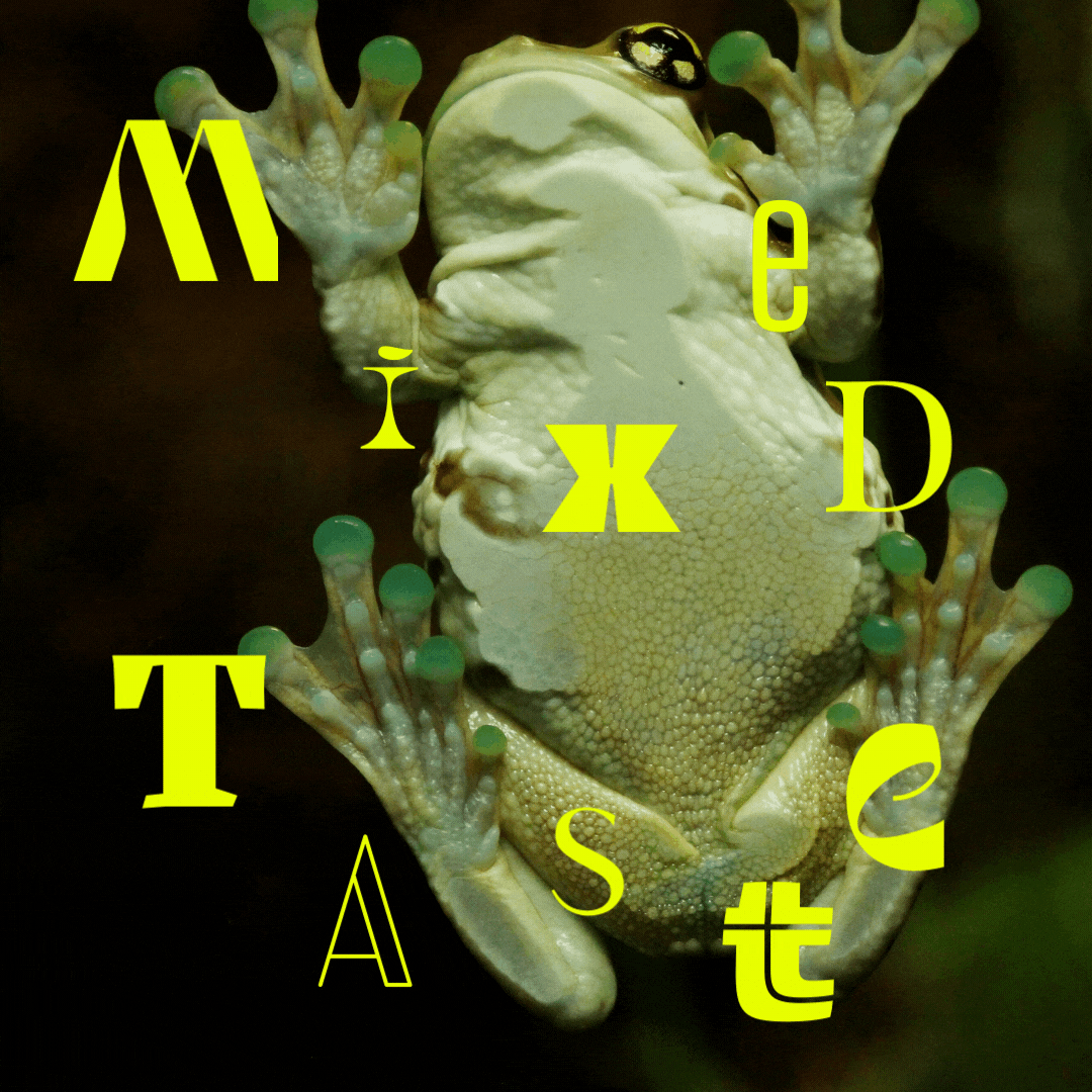 Rotating gif featuring six images featuring different content: a green frog captured from underneath its belly, two headless bodies walking towards each other on a sidewalk, a silver trash can with fire coming out of it, a glove and a baseball in front of a bright blue sky, and more. Overlaid on every image is text that reads, “Mixed Taste.” 
