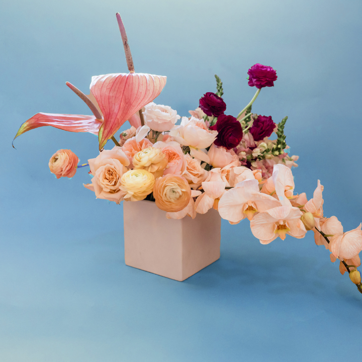 Image of a box of colorful pink and blush flowers against a blue background