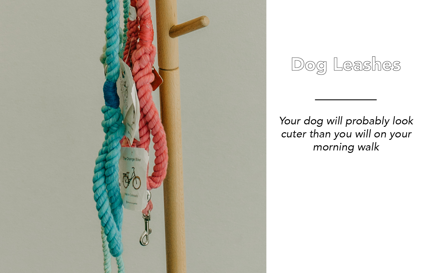 Blue and pink braided rope dog leashes