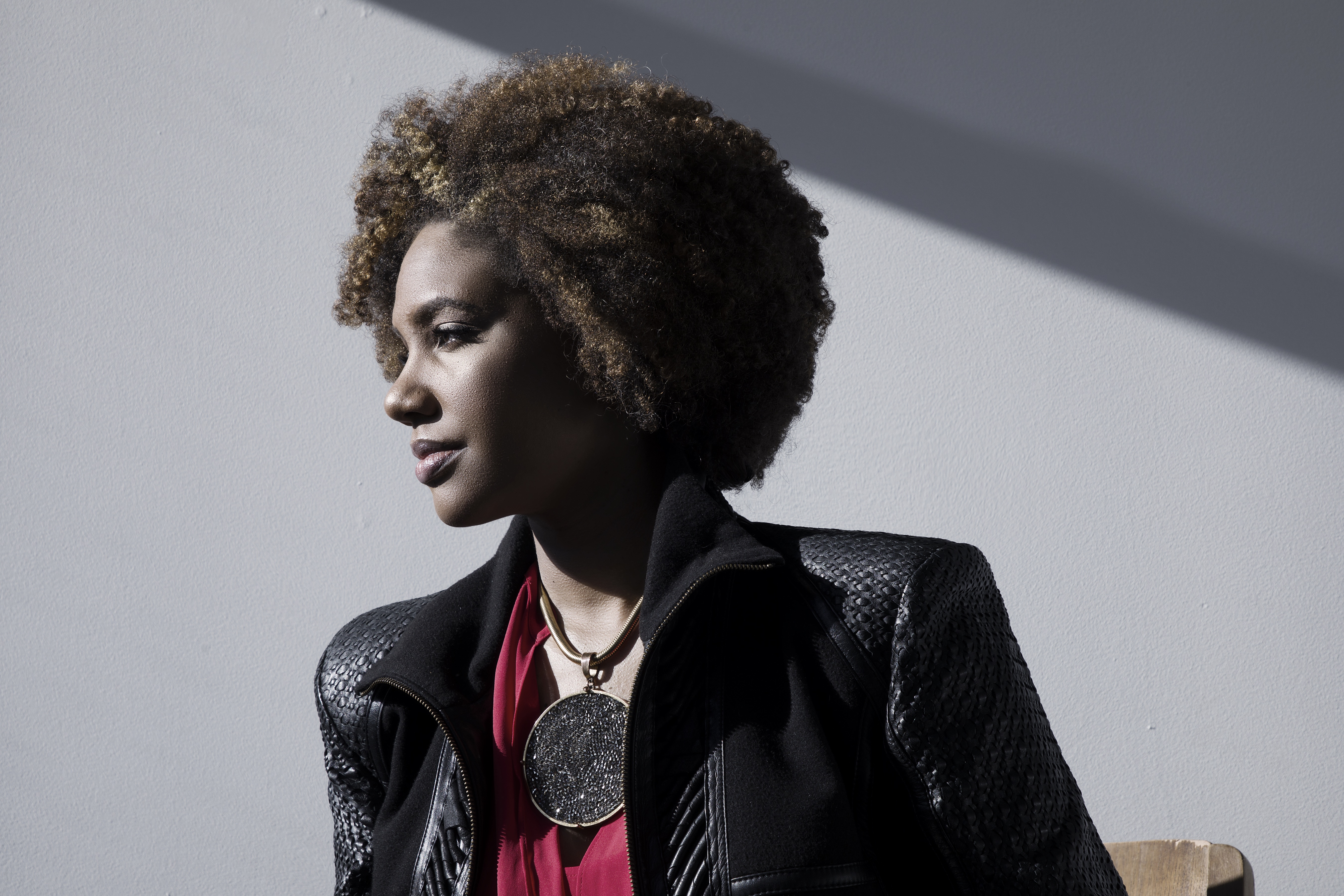  Profile shot of LaToya Ruby Fraizer against a gray background and dramatic lighting. She sports a mid-brown afro, a black blazer with a hot pink blouse, and a bronze necklace with a large round medallion. She gazes off frame with a faint hint of a smile on her face. 