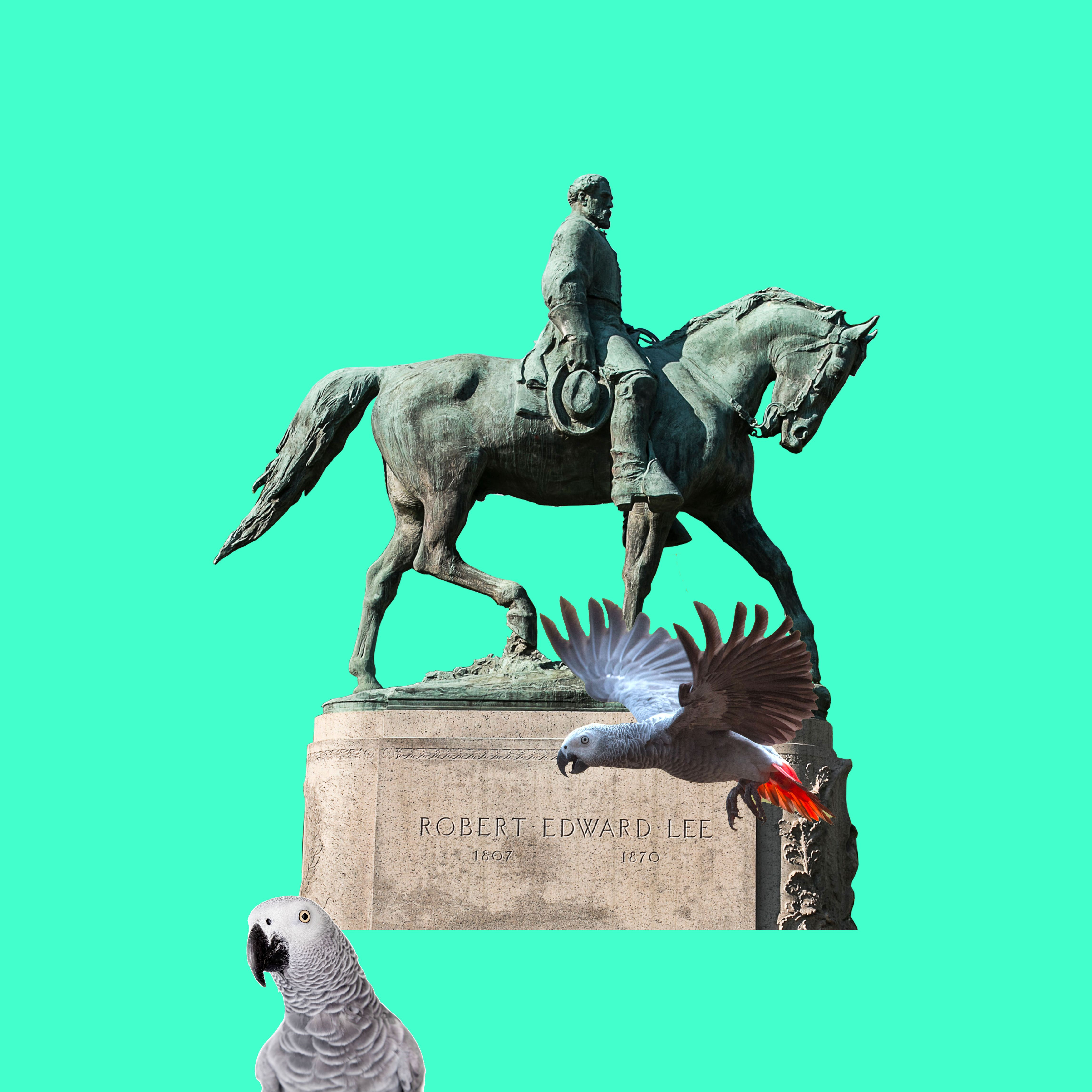 Robert Edward Lee Confederate monument on a bright turquoise background. Surrounding the monument are two grey parrots.
