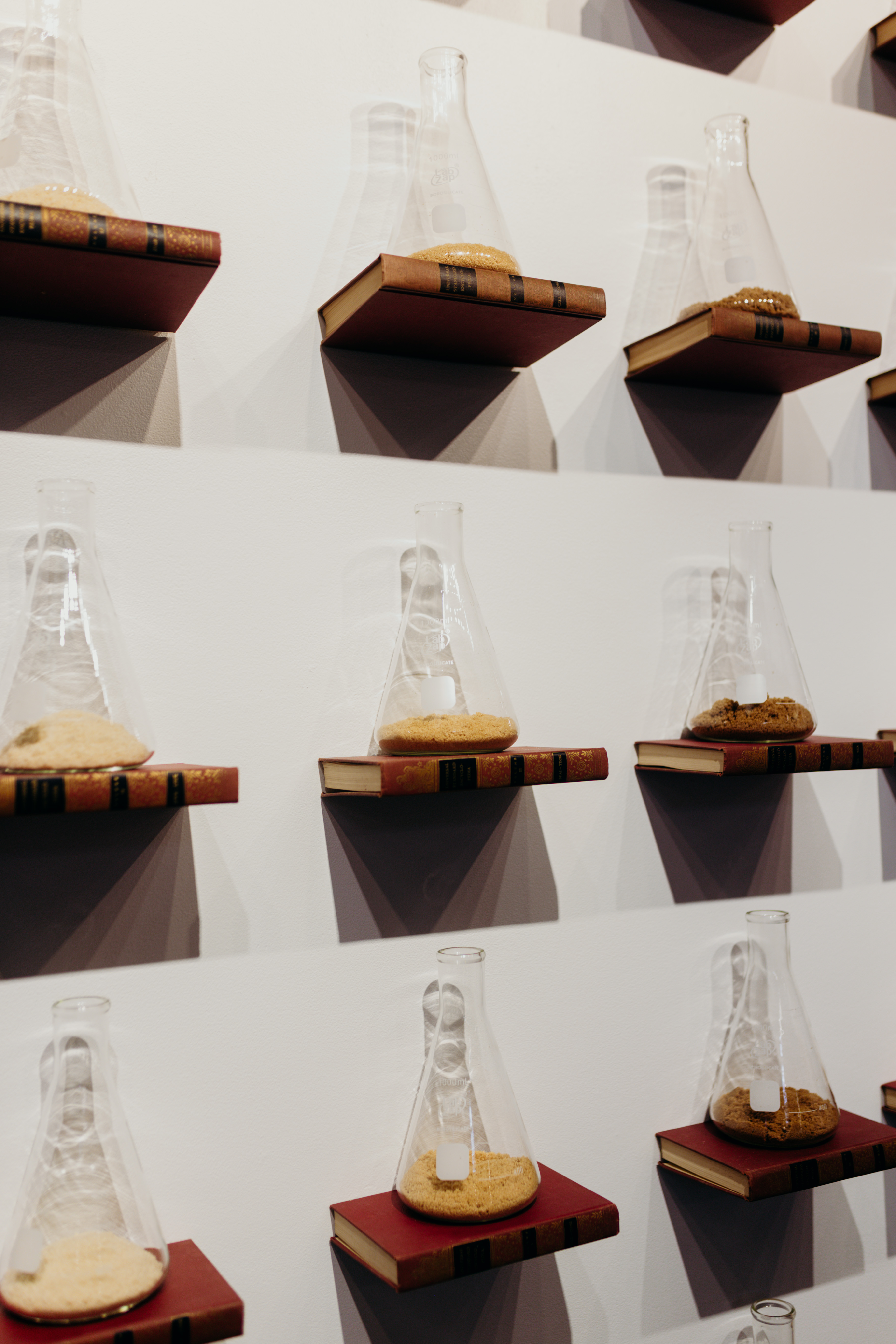 Chemistry beakers rest on red books that hang from the wall. They are filled with various sand-like substances