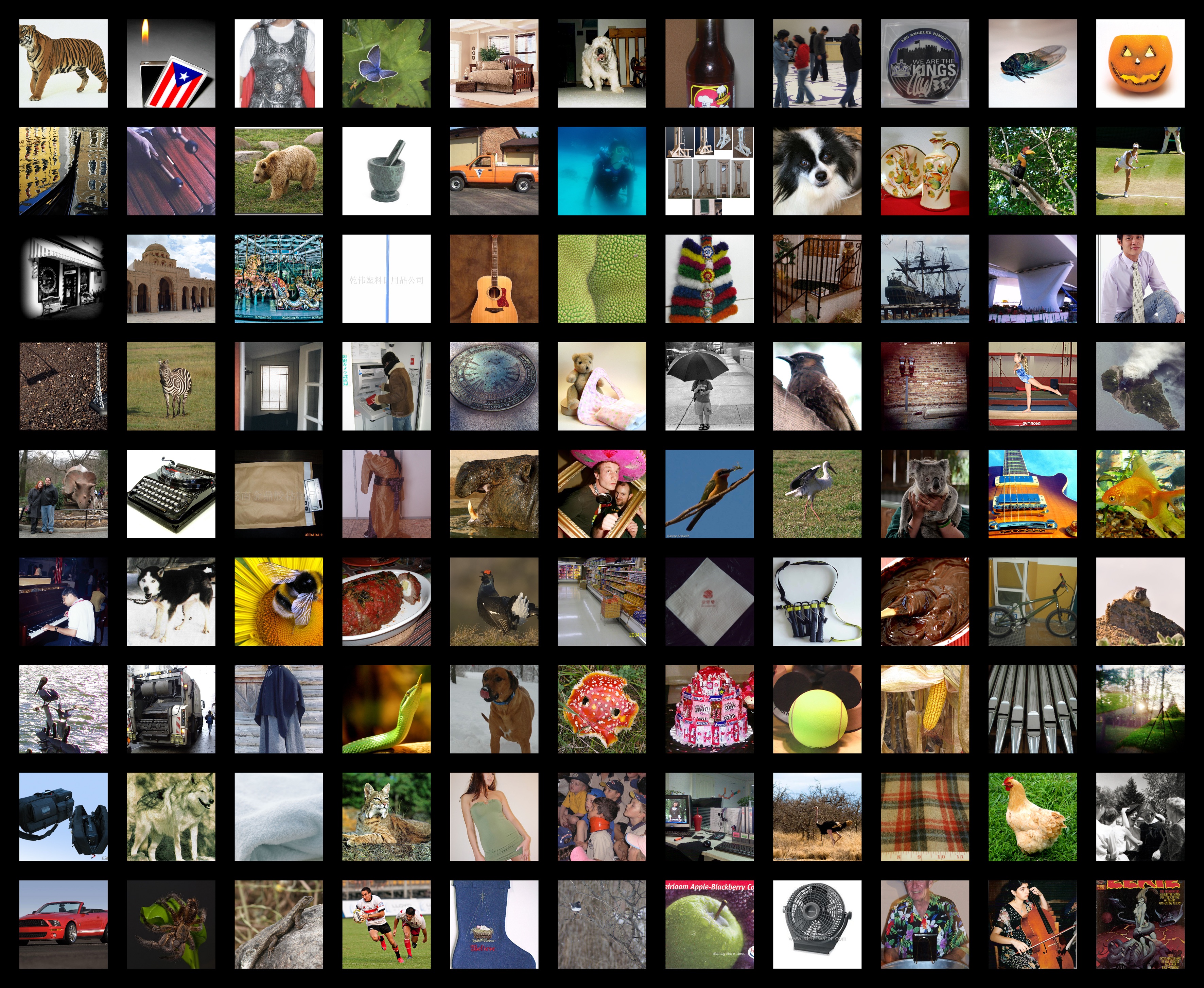 Trevor Paglen, Behold these Glorious Times! 2017. A screenshot of 55 different images used to train Artificial Intelligence. The images range from animals, people doing various things, to everyday objects. 