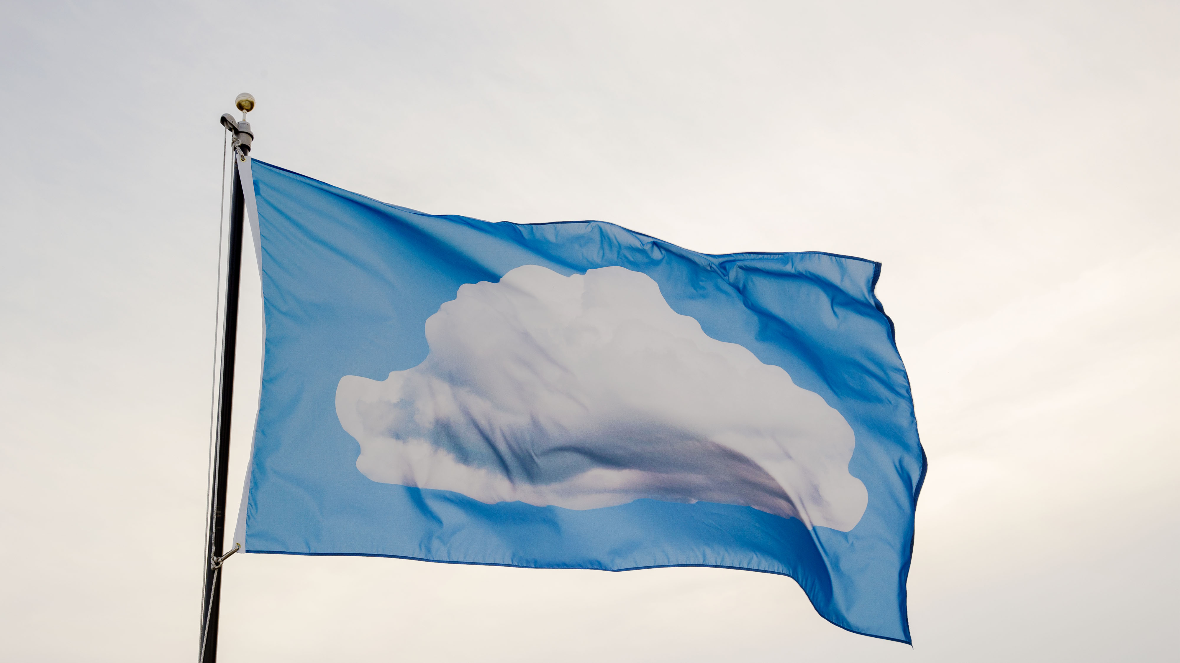 Vik Muniz, Diaspora Cloud, 2017. A cerulean flag with an image of a fluffy cotton-white cloud flies against an overcast sky. 
