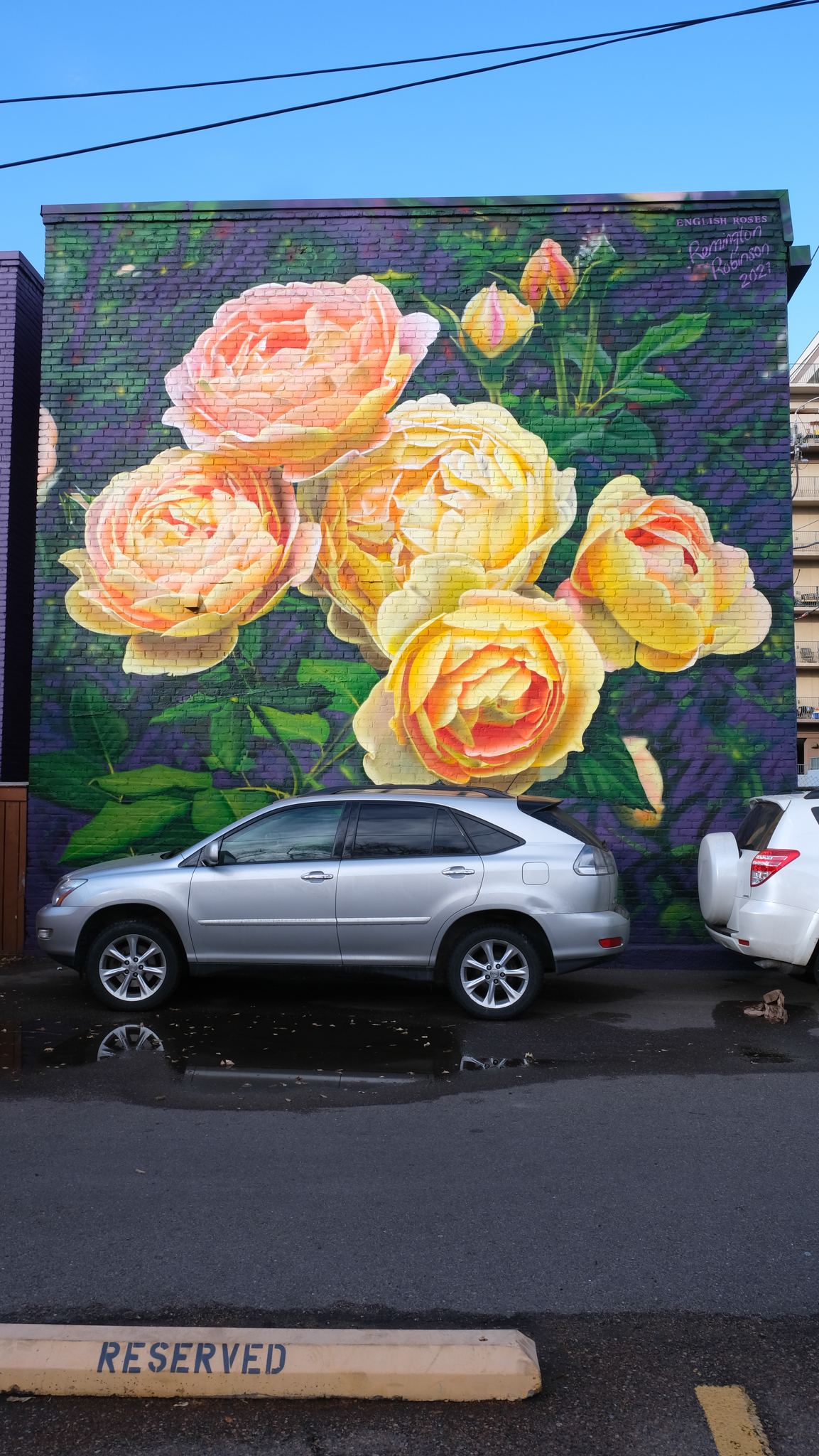 photo of artwork on a brick wall of carding mill english roses