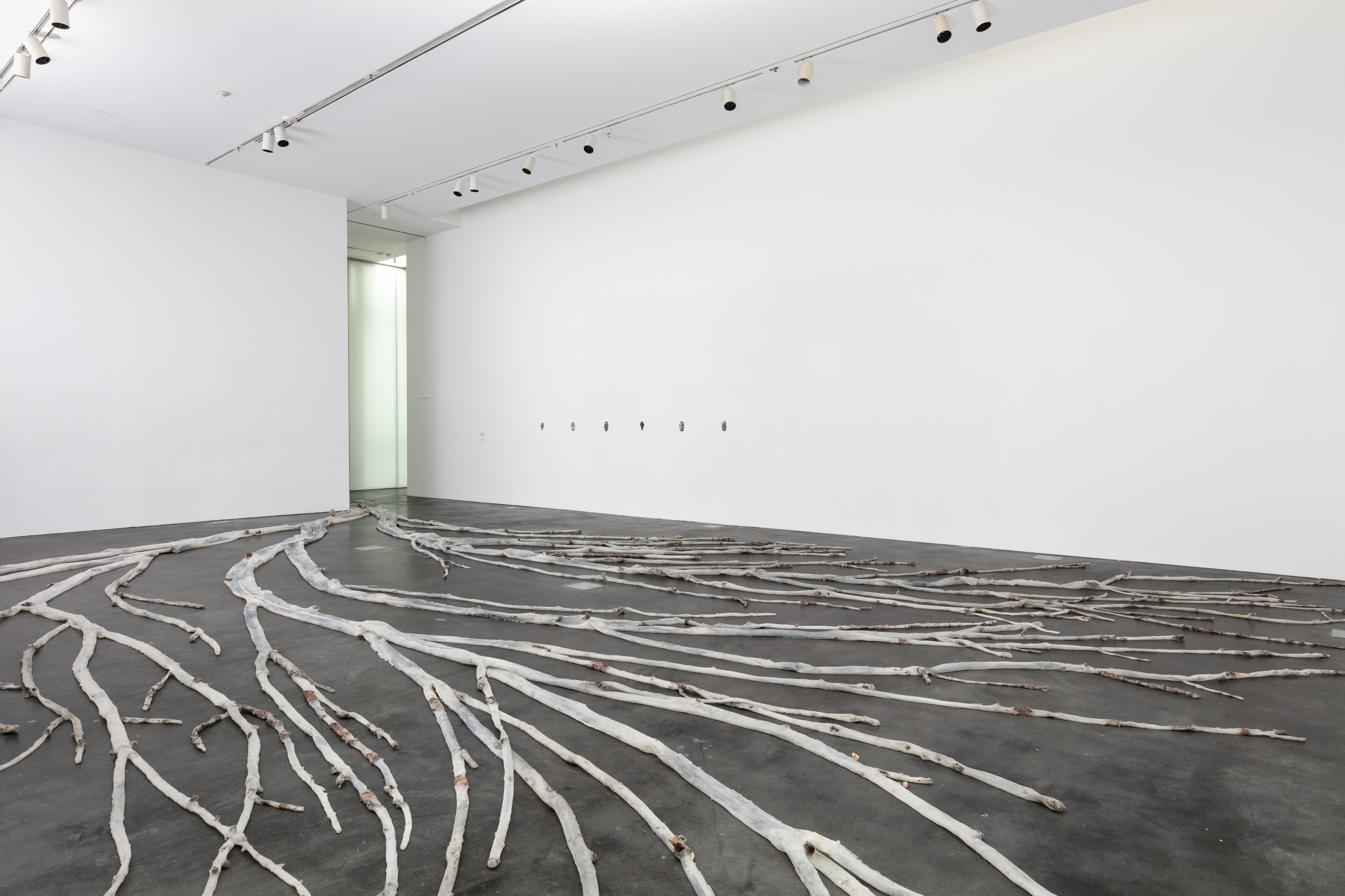 Large plastered tree sprawled out on the ground in a gallery with white walls and dark flooring.