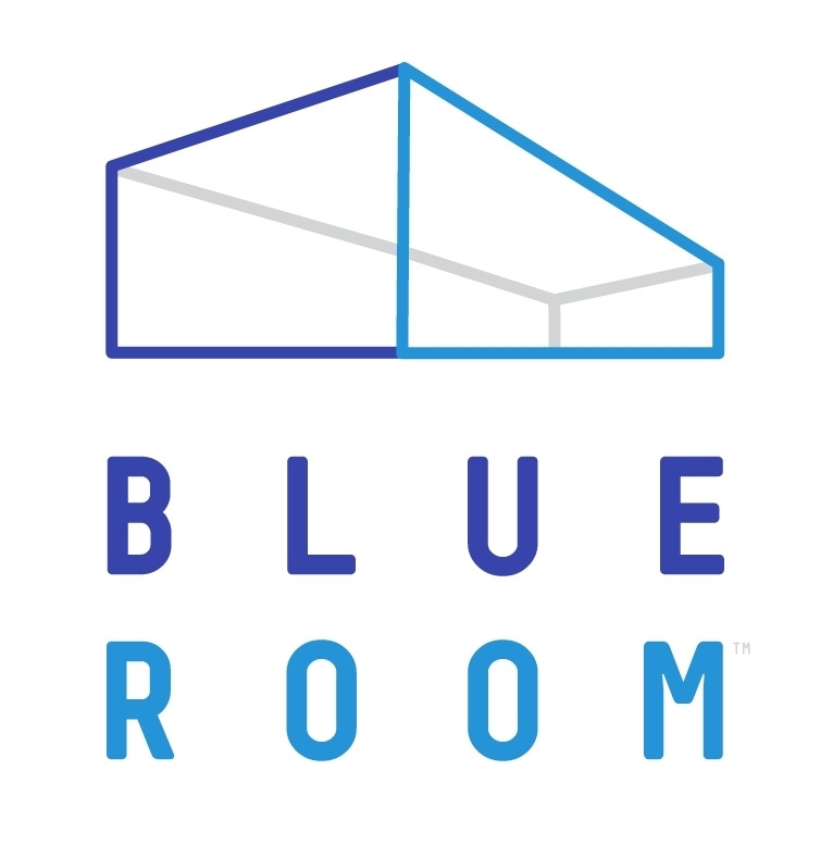 Logo that reads, "Blue Room" in blue colored text. There is a 3D box-like shape above the text.