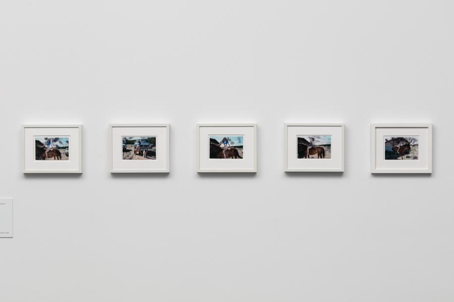 Series of photographs featuring an artist posing with a horse and other cowboy-like objects. The photographs are framed and hung on a white wall.
