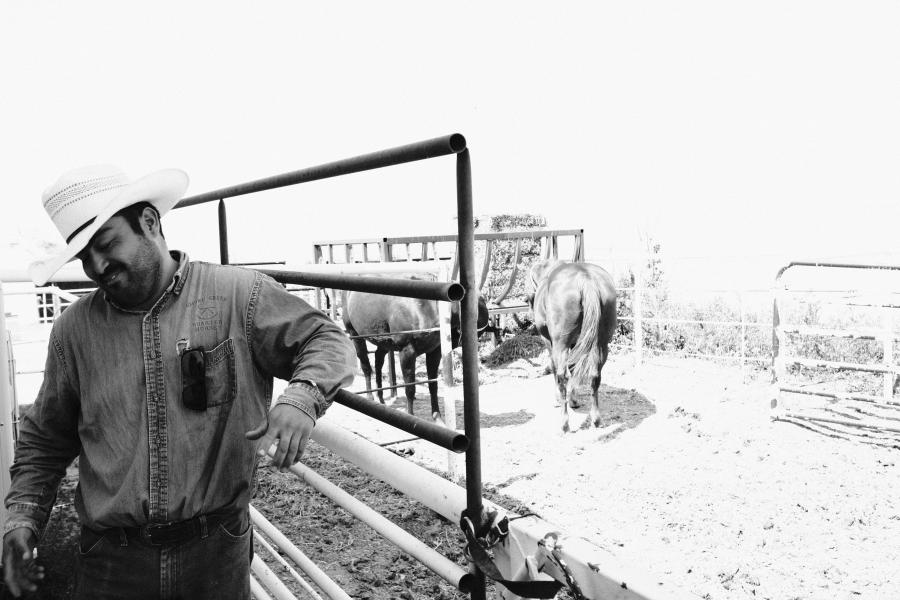 Black and white image of a cowboy leaning on a railing near horses.