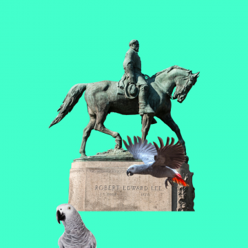 a digital collage of a confederate statue of a man riding a horse in front of a teal background; two African Gray Parrots are in the foreground