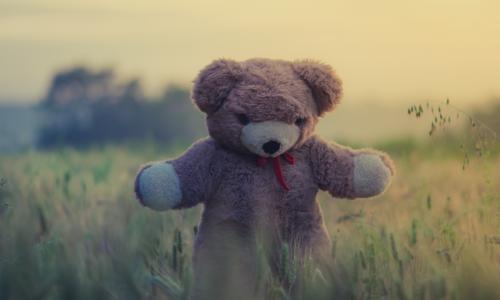 A stuffed bear stands in grass  during sunset. 