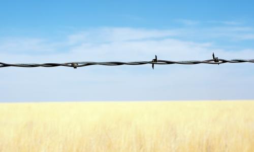 Patti Hallock photograph of barbed wire