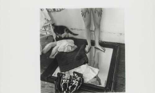 Two bare legs stand on a mirror with hands resting on the thighs. Towels lie on the mirror covering the reflection past the knees. A callico cat watches. 
