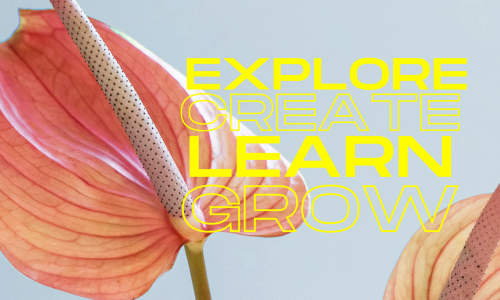 Explore, create, learn, grow are written words in yellow overlayed on an image of a flower