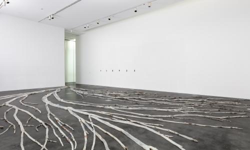 Large silicone tree sprawled out on the ground in a gallery with white walls and dark flooring.