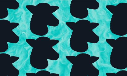 Black sheep heads on teal background.
