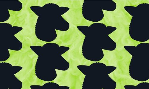 Black sheep heads on lime green background.