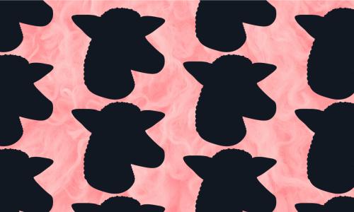 Black sheep heads on pink background.