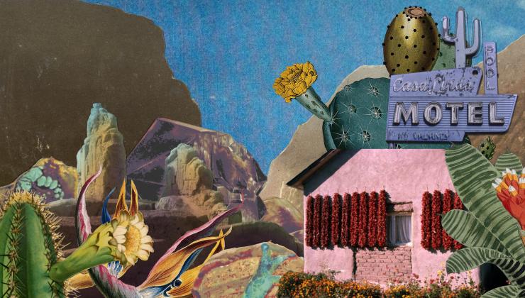 Otra Tierra// Other Land Collage